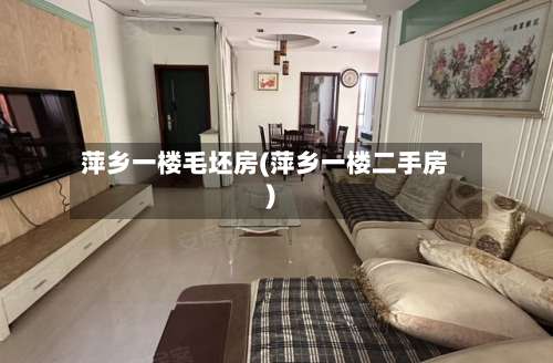 萍乡一楼毛坯房(萍乡一楼二手房)-第2张图片