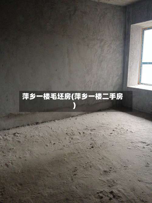 萍乡一楼毛坯房(萍乡一楼二手房)-第3张图片