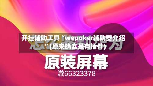 开挂辅助工具“wepoker辅助器介绍”(原来确实是有插件)-第1张图片