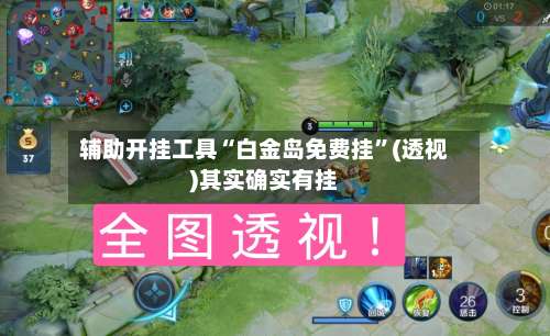 辅助开挂工具“白金岛免费挂”(透视)其实确实有挂-第1张图片