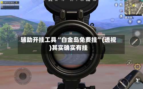 辅助开挂工具“白金岛免费挂	”(透视)其实确实有挂-第2张图片