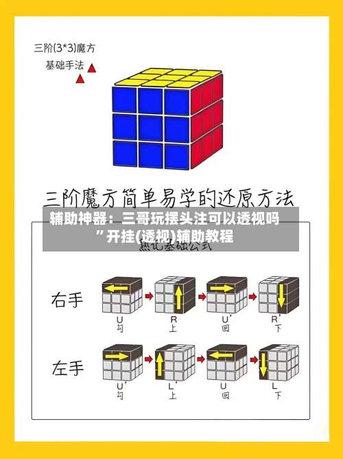 辅助神器：三哥玩摆头注可以透视吗”开挂(透视)辅助教程-第2张图片