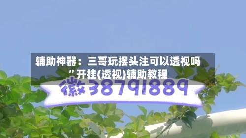 辅助神器：三哥玩摆头注可以透视吗	”开挂(透视)辅助教程-第3张图片