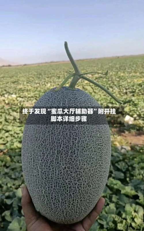 终于发现“蜜瓜大厅辅助器	”附开挂脚本详细步骤-第1张图片