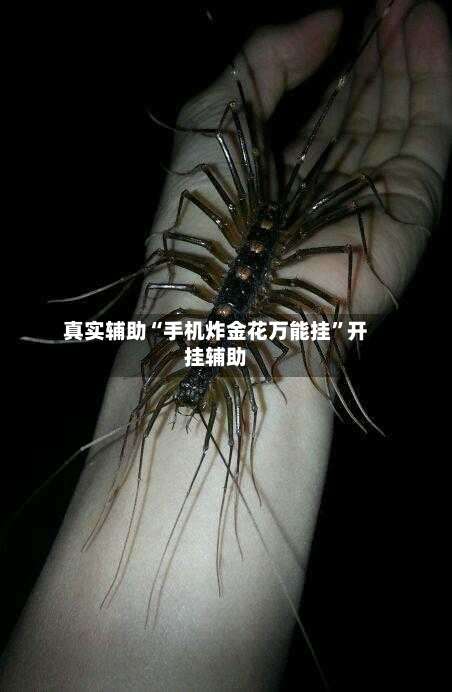 真实辅助“手机炸金花万能挂”开挂辅助-第3张图片