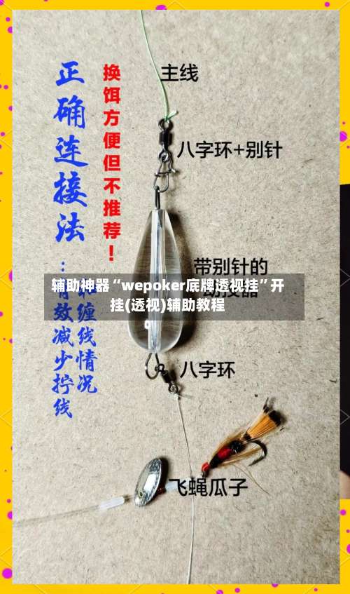 辅助神器“wepoker底牌透视挂”开挂(透视)辅助教程-第3张图片