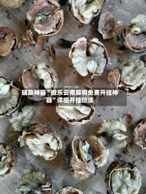 辅助神器“微乐云南麻将免费开挂神器”详细开挂玩法-第3张图片