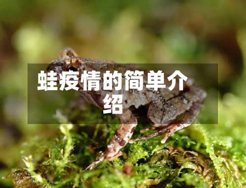 蛙疫情的简单介绍-第1张图片