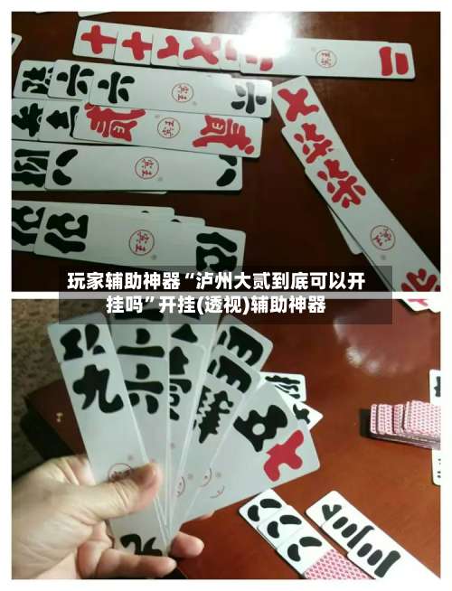 玩家辅助神器“泸州大贰到底可以开挂吗”开挂(透视)辅助神器-第1张图片