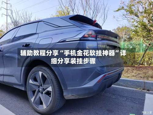 辅助教程分享“手机金花软挂神器	”详细分享装挂步骤-第1张图片