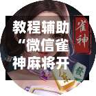 教程辅助“微信雀神麻将开挂神器下载	”开挂辅助脚本+详细开挂-第1张图片