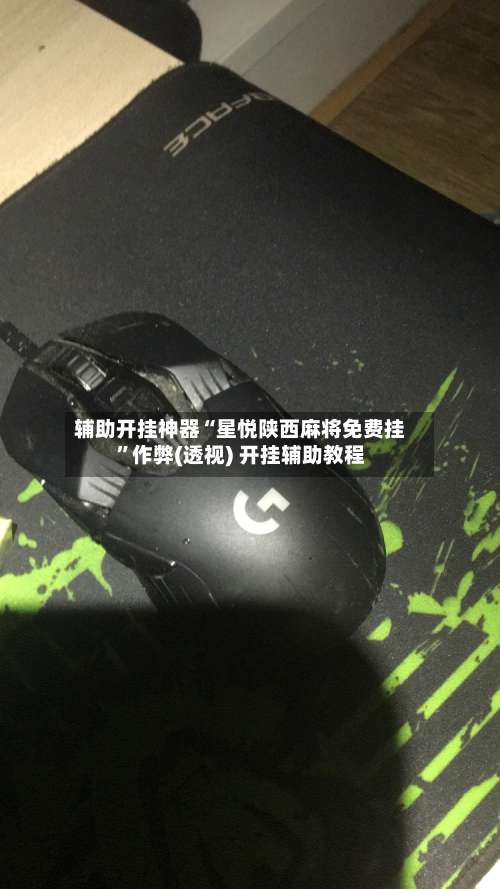 辅助开挂神器“星悦陕西麻将免费挂”作弊(透视) 开挂辅助教程-第3张图片