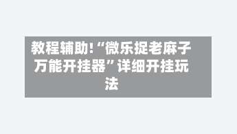 教程辅助!“微乐捉老麻子万能开挂器”详细开挂玩法-第1张图片