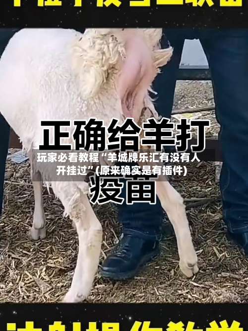 玩家必看教程“羊城牌乐汇有没有人开挂过	”(原来确实是有插件)-第1张图片