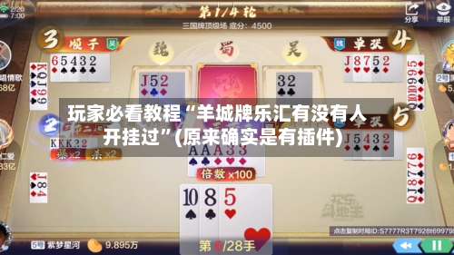 玩家必看教程“羊城牌乐汇有没有人开挂过”(原来确实是有插件)-第2张图片