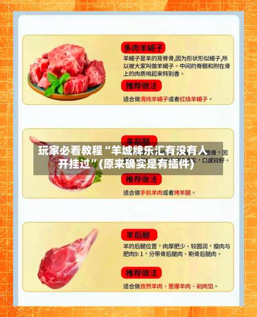 玩家必看教程“羊城牌乐汇有没有人开挂过”(原来确实是有插件)-第3张图片