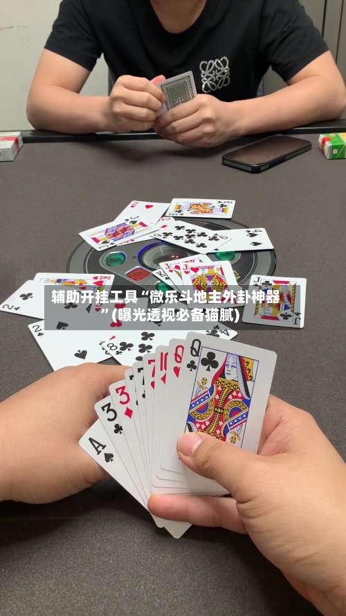 辅助开挂工具“微乐斗地主外卦神器”(曝光透视必备猫腻)-第3张图片