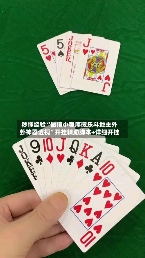 秒懂经验“微信小程序微乐斗地主外卦神器透视	”开挂辅助脚本+详细开挂-第1张图片