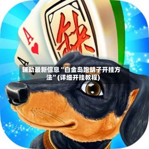 辅助最新信息“白金岛跑胡子开挂方法”(详细开挂教程)-第1张图片
