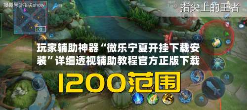 玩家辅助神器“微乐宁夏开挂下载安装”详细透视辅助教程官方正版下载-第1张图片