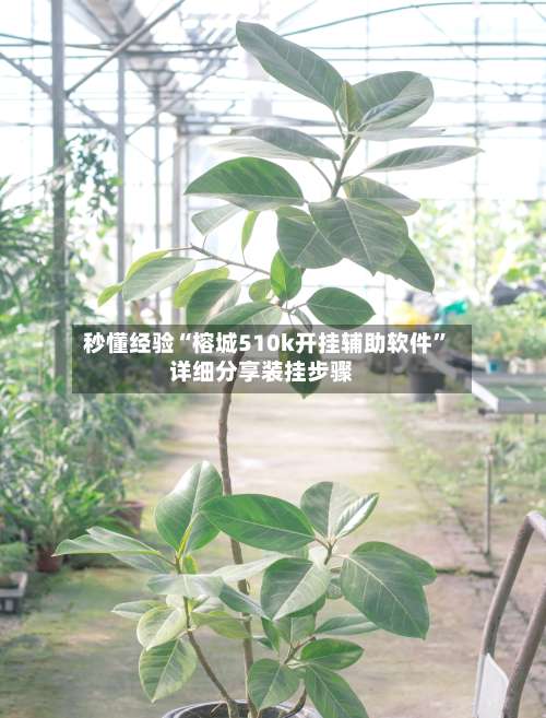 秒懂经验“榕城510k开挂辅助软件”详细分享装挂步骤-第1张图片