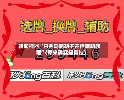 辅助神器“白金岛跑胡子开挂辅助教程”(原来确实是有挂)-第1张图片