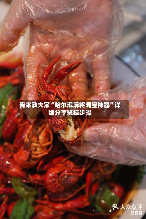 我来教大家“哈尔滨麻将漏宝神器	”详细分享装挂步骤-第1张图片