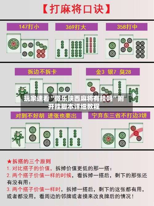 玩家速看“微乐陕西麻将有挂吗”附开挂脚本详细教程-第2张图片