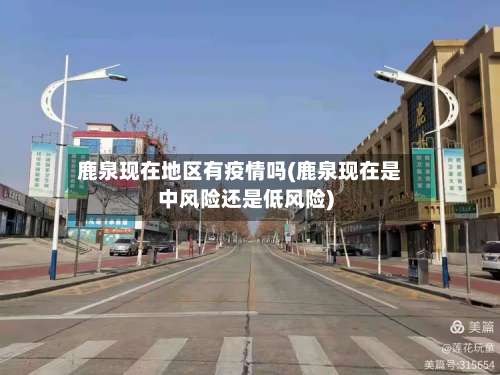 鹿泉现在地区有疫情吗(鹿泉现在是中风险还是低风险)-第1张图片