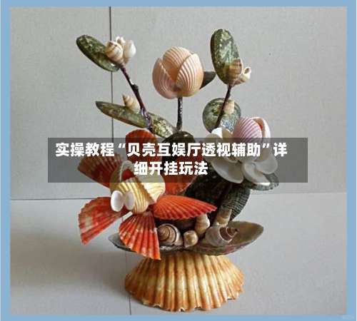 实操教程“贝壳互娱厅透视辅助	”详细开挂玩法-第1张图片