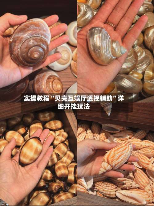 实操教程“贝壳互娱厅透视辅助”详细开挂玩法-第3张图片