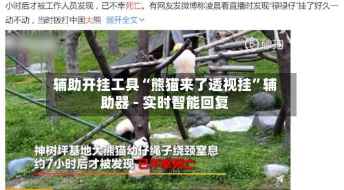 辅助开挂工具“熊猫来了透视挂	”辅助器 - 实时智能回复-第2张图片