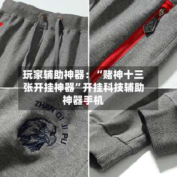 玩家辅助神器：“赌神十三张开挂神器”开挂科技辅助神器手机-第1张图片