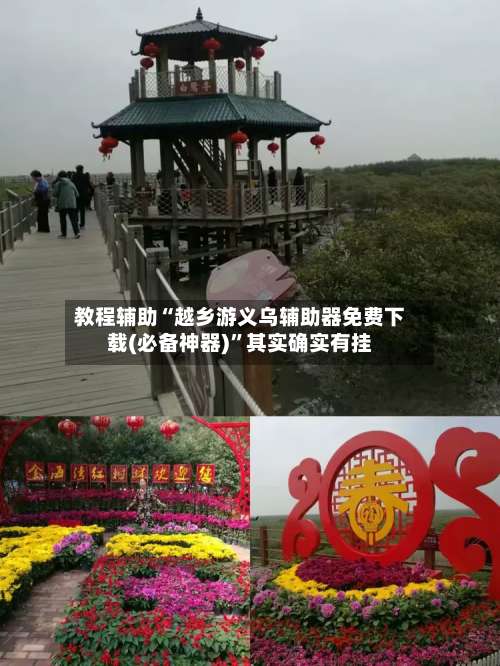 教程辅助“越乡游义乌辅助器免费下载(必备神器)”其实确实有挂-第1张图片