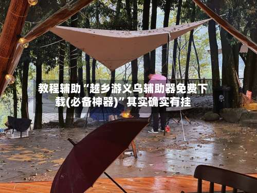 教程辅助“越乡游义乌辅助器免费下载(必备神器)	”其实确实有挂-第3张图片