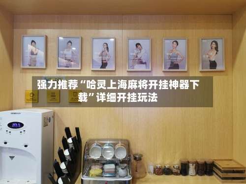 强力推荐“哈灵上海麻将开挂神器下载”详细开挂玩法-第2张图片