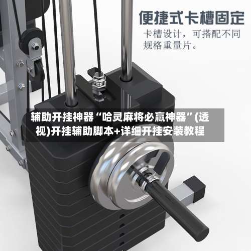 辅助开挂神器“哈灵麻将必赢神器”(透视)开挂辅助脚本+详细开挂安装教程-第1张图片