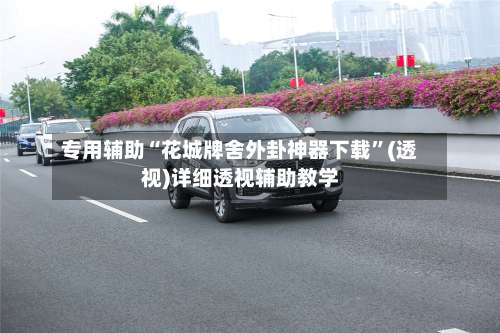 专用辅助“花城牌舍外卦神器下载”(透视)详细透视辅助教学-第1张图片