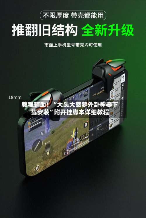 教程辅助！“大头大菠萝外卦神器下载安装”附开挂脚本详细教程-第1张图片