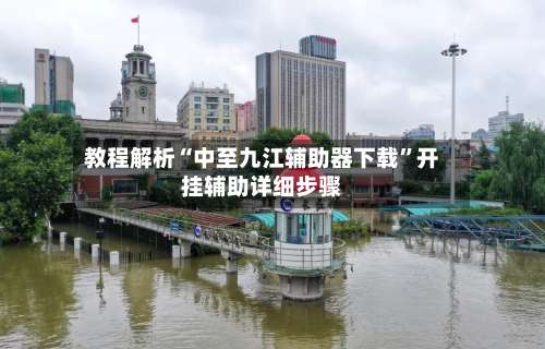 教程解析“中至九江辅助器下载”开挂辅助详细步骤-第2张图片