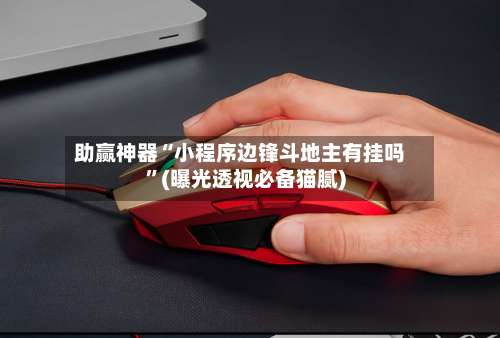 助赢神器“小程序边锋斗地主有挂吗”(曝光透视必备猫腻)-第1张图片