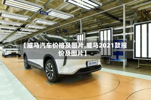 【威马汽车价格及图片,威马2021款报价及图片】-第3张图片