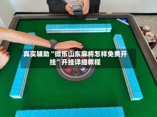 真实辅助“微乐山东麻将怎样免费开挂”开挂详细教程-第3张图片