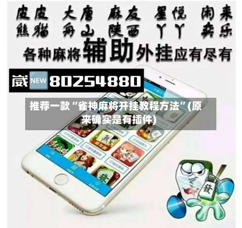 推荐一款“雀神麻将开挂教程方法	”(原来确实是有插件)-第2张图片