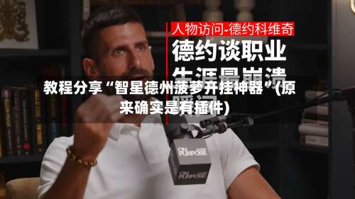 教程分享“智星德州菠萝开挂神器”(原来确实是有插件)-第1张图片