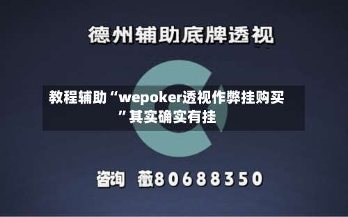 教程辅助“wepoker透视作弊挂购买”其实确实有挂-第2张图片