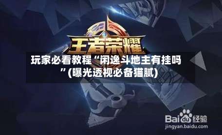 玩家必看教程“闲逸斗地主有挂吗”(曝光透视必备猫腻)-第1张图片