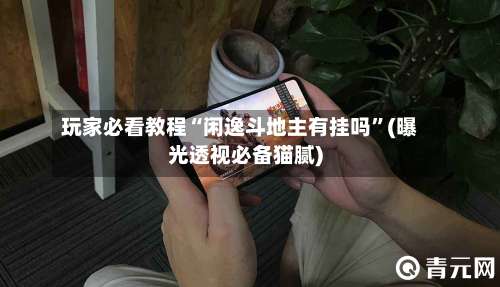 玩家必看教程“闲逸斗地主有挂吗	”(曝光透视必备猫腻)-第2张图片