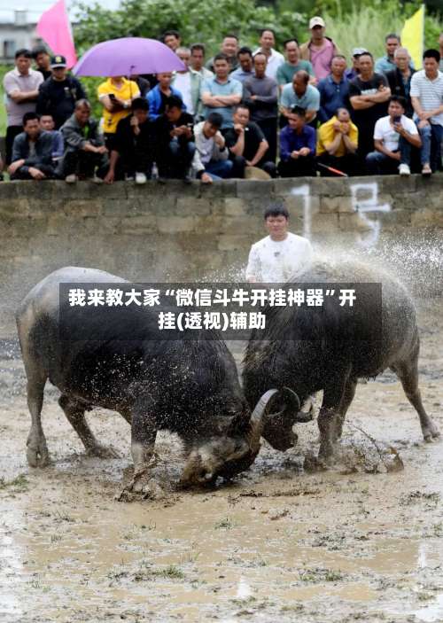 我来教大家“微信斗牛开挂神器”开挂(透视)辅助-第2张图片