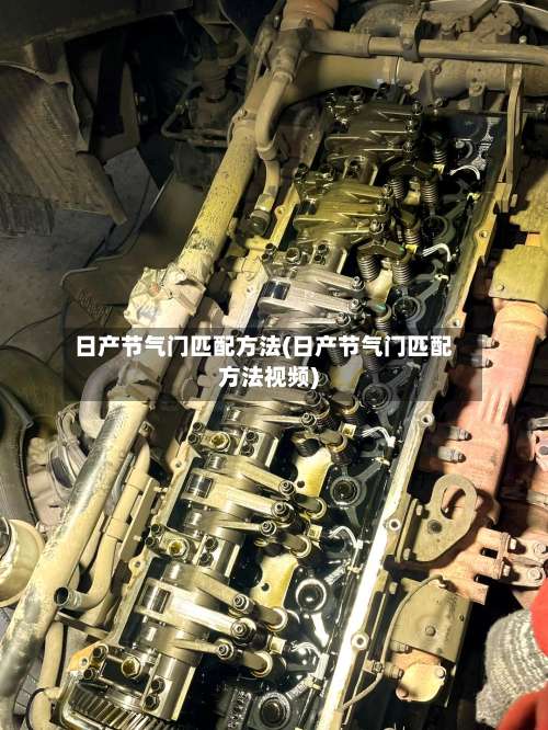 日产节气门匹配方法(日产节气门匹配方法视频)-第1张图片